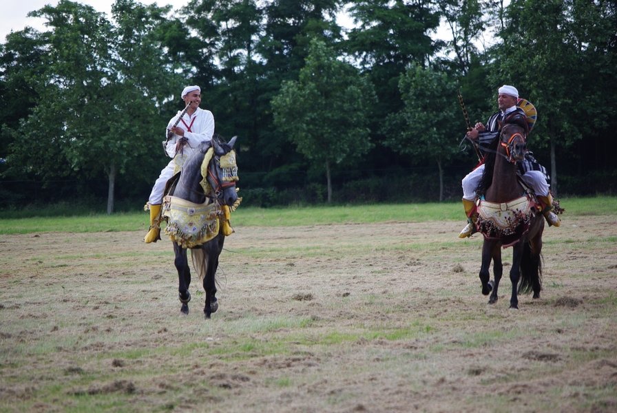 Le Moussem des Cultures 2008 200.jpg